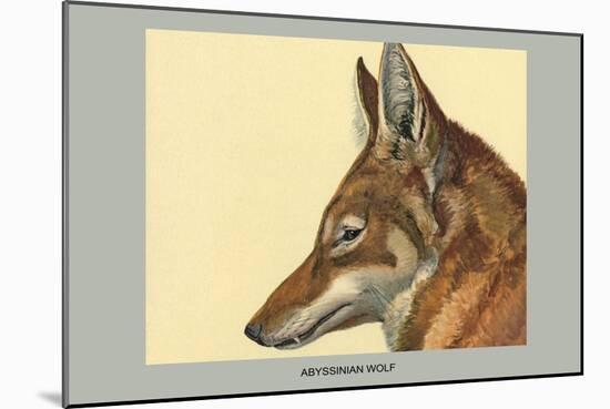 Abyssinian Wolf-Louis Agassiz Fuertes-Mounted Art Print