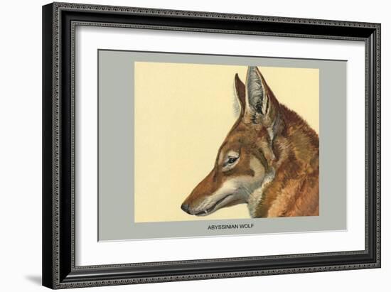 Abyssinian Wolf-Louis Agassiz Fuertes-Framed Art Print