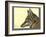 Abyssinian Wolf-null-Framed Giclee Print