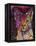 Abyssinian-Dean Russo-Framed Premier Image Canvas