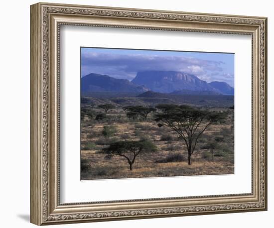 Acacia and Distant Massif North of Mt Kenya, Samburu National Reserve, Kenya-Paul Souders-Framed Photographic Print