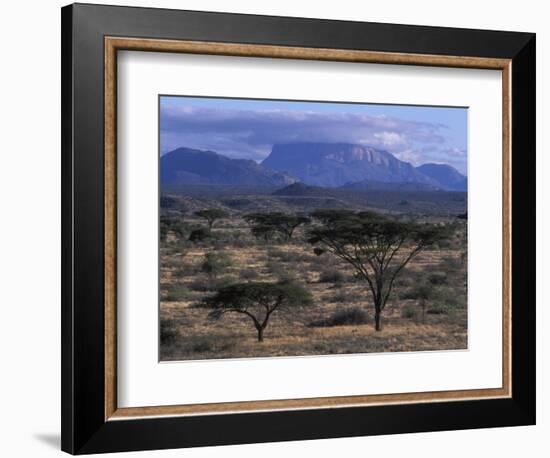 Acacia and Distant Massif North of Mt Kenya, Samburu National Reserve, Kenya-Paul Souders-Framed Photographic Print