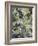 Acacia in Flower-Vincent van Gogh-Framed Giclee Print