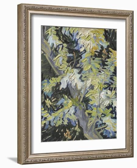 Acacia in Flower-Vincent van Gogh-Framed Giclee Print