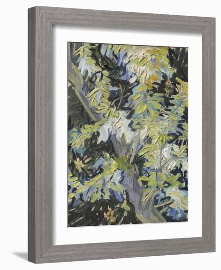 Acacia in Flower-Vincent van Gogh-Framed Giclee Print