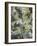 Acacia in Flower-Vincent van Gogh-Framed Giclee Print