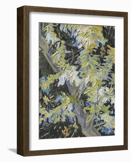 Acacia in Flower-Vincent van Gogh-Framed Giclee Print