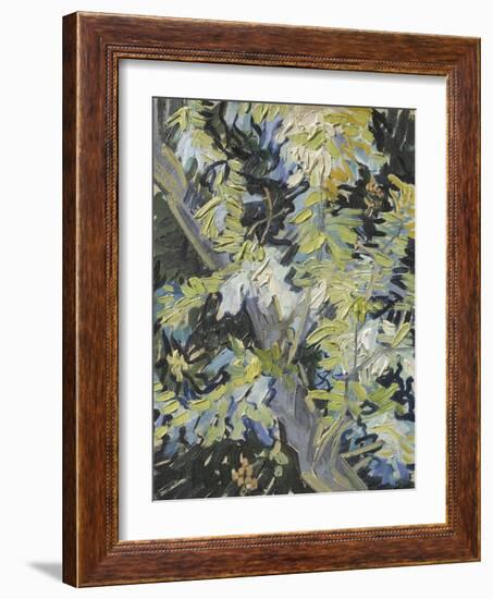 Acacia in Flower-Vincent van Gogh-Framed Giclee Print
