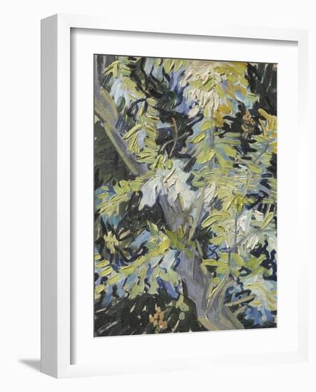 Acacia in Flower-Vincent van Gogh-Framed Giclee Print