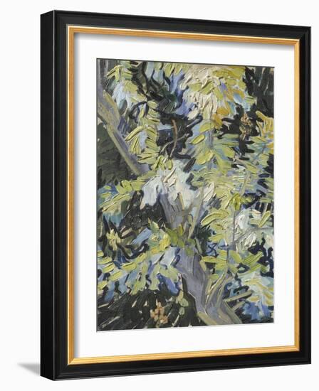 Acacia in Flower-Vincent van Gogh-Framed Giclee Print