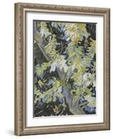 Acacia in Flowers-Vincent Van Gogh-Framed Giclee Print