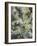 Acacia in Flowers-Vincent Van Gogh-Framed Giclee Print