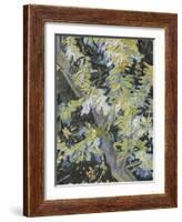 Acacia in Flowers-Vincent Van Gogh-Framed Giclee Print