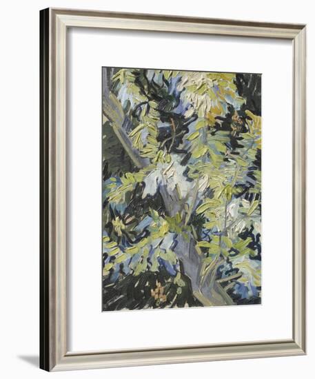 Acacia in Flowers-Vincent Van Gogh-Framed Giclee Print