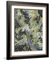 Acacia in Flowers-Vincent Van Gogh-Framed Giclee Print