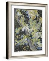 Acacia in Flowers-Vincent Van Gogh-Framed Giclee Print