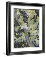 Acacia in Flowers-Vincent Van Gogh-Framed Giclee Print