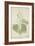 Acacia Suma Kuz, 1800-10-null-Framed Giclee Print