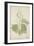 Acacia Suma Kuz, 1800-10-null-Framed Giclee Print