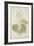 Acacia Suma Kuz, 1800-10-null-Framed Giclee Print