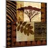 Acacia Sunrise II-Keith Mallett-Mounted Art Print