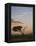 Acacia Tree and Clouds at Dawn-James Hager-Framed Premier Image Canvas