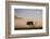 Acacia Tree and Clouds at Dawn-James Hager-Framed Photographic Print