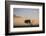 Acacia Tree and Clouds at Dawn-James Hager-Framed Photographic Print