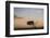 Acacia Tree and Clouds at Dawn-James Hager-Framed Photographic Print