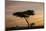 Acacia Tree and Clouds at Dawn-James Hager-Mounted Photographic Print