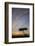 Acacia Tree and Clouds at Sunrise-James Hager-Framed Photographic Print