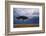 Acacia Tree Growing on Savannah against Sky Background, Masai Mara National Reserve, Kenya-Anup Shah-Framed Photographic Print