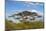 Acacia tree in Abijatta-Shalla Lakes National Park, Ethiopia-Keren Su-Mounted Photographic Print