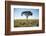 Acacia Tree, Makgadikgadi Pan, Botswana-Paul Souders-Framed Photographic Print