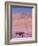 Acacia Tree near a Sand Dune-Michele Westmorland-Framed Photographic Print