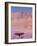 Acacia Tree near a Sand Dune-Michele Westmorland-Framed Photographic Print