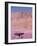 Acacia Tree near a Sand Dune-Michele Westmorland-Framed Photographic Print