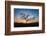 Acacia Tree Near Dune 45 in the Namib Desert at Sunset, Sossusvlei, Namin-Naukluft Park-Alex Treadway-Framed Photographic Print