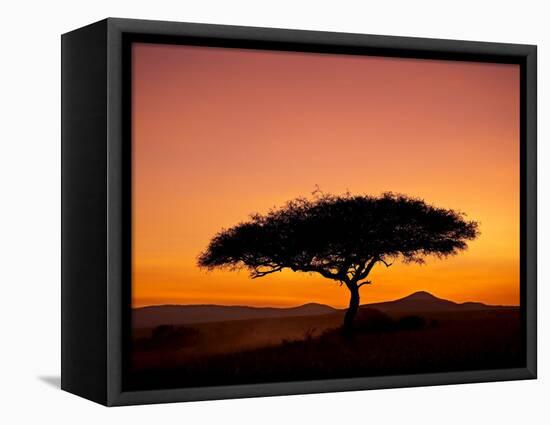 Acacia Tree Silhouetted at Dawn, Masai Mara Game Reserve, Kenya, East Africa, Africa-James Hager-Framed Premier Image Canvas