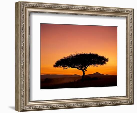 Acacia Tree Silhouetted at Dawn, Masai Mara Game Reserve, Kenya, East Africa, Africa-James Hager-Framed Photographic Print