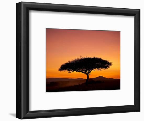 Acacia Tree Silhouetted at Dawn, Masai Mara Game Reserve, Kenya, East Africa, Africa-James Hager-Framed Photographic Print