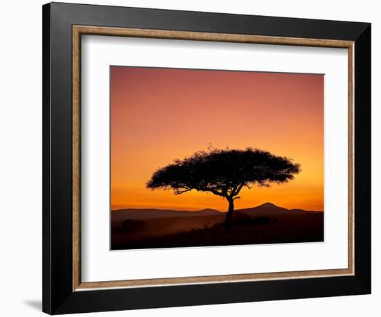 Acacia Tree Silhouetted at Dawn, Masai Mara Game Reserve, Kenya, East Africa, Africa-James Hager-Framed Photographic Print