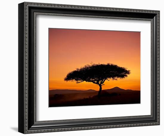 Acacia Tree Silhouetted at Dawn, Masai Mara Game Reserve, Kenya, East Africa, Africa-James Hager-Framed Photographic Print