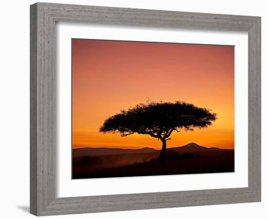 Acacia Tree Silhouetted at Dawn, Masai Mara Game Reserve, Kenya, East Africa, Africa-James Hager-Framed Photographic Print