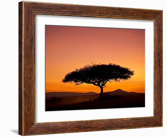 Acacia Tree Silhouetted at Dawn, Masai Mara Game Reserve, Kenya, East Africa, Africa-James Hager-Framed Photographic Print