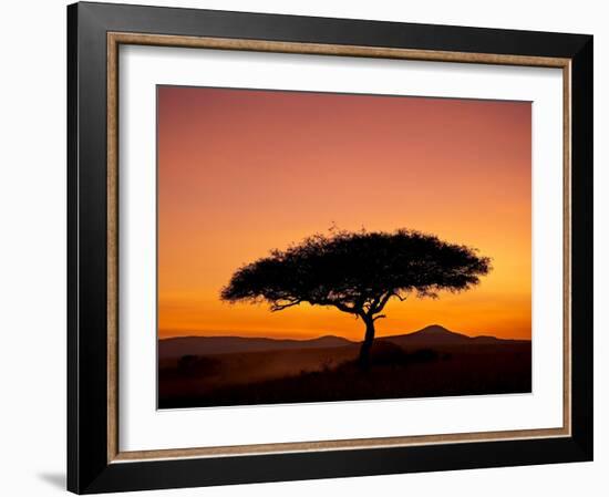 Acacia Tree Silhouetted at Dawn, Masai Mara Game Reserve, Kenya, East Africa, Africa-James Hager-Framed Photographic Print