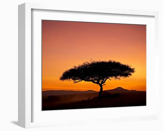 Acacia Tree Silhouetted at Dawn, Masai Mara Game Reserve, Kenya, East Africa, Africa-James Hager-Framed Photographic Print