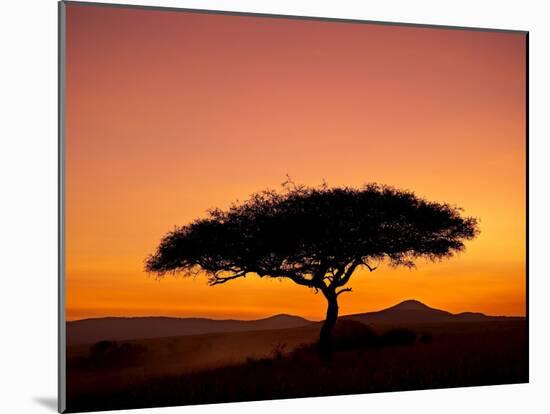 Acacia Tree Silhouetted at Dawn, Masai Mara Game Reserve, Kenya, East Africa, Africa-James Hager-Mounted Photographic Print