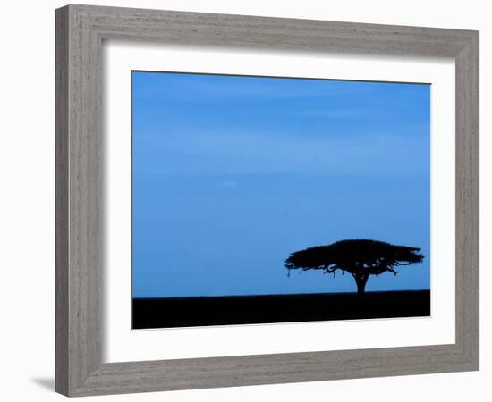 Acacia Tree Silhouetted, Tanzania-Edwin Giesbers-Framed Photographic Print