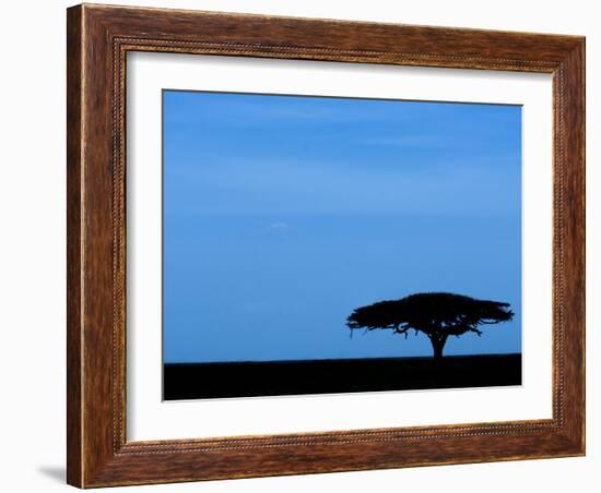 Acacia Tree Silhouetted, Tanzania-Edwin Giesbers-Framed Photographic Print